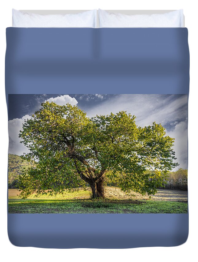 Appalachia Duvet Cover featuring the photograph The Mulberry Tree by Debra and Dave Vanderlaan