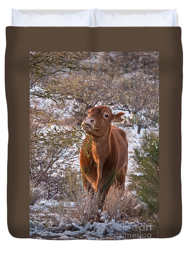 Cow Duvet Cover featuring the photograph The New Years Cow by Donna Greene