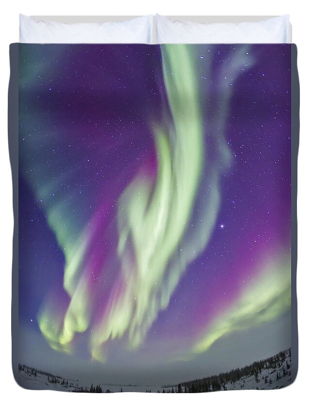 Aurora Duvet Cover featuring the photograph The Northern Lights In Churchill by Alan Dyer