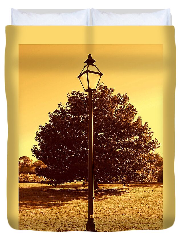 Photography Duvet Cover featuring the photograph The old lantern in the park by Susanne Van Hulst