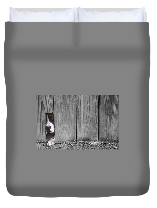 Escape Duvet Cover featuring the photograph Captive #1 by DArcy Evans
