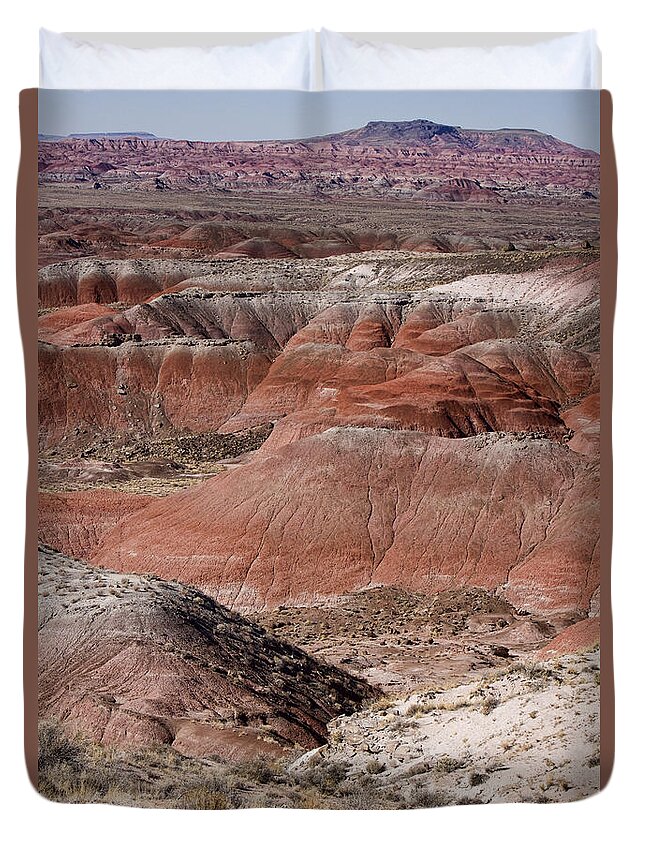  Arizona Duvet Cover featuring the photograph The Painted Desert 8024 by James BO Insogna