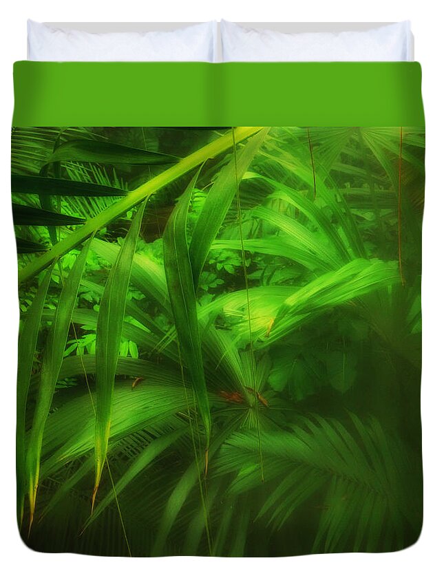 Connie Handscomb Duvet Cover featuring the photograph The Palm Forest by Connie Handscomb