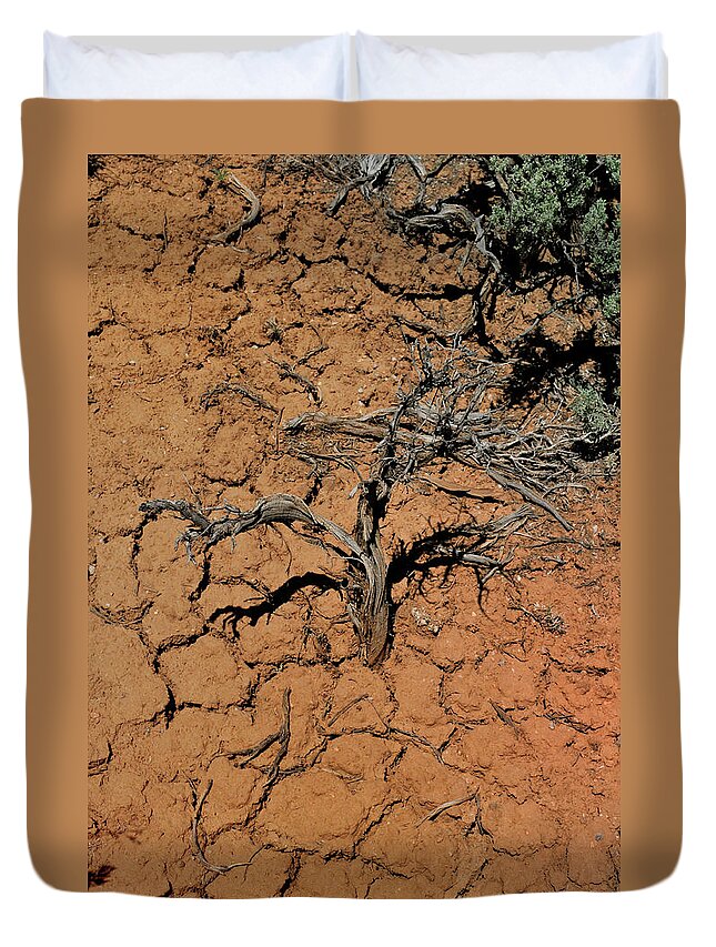 Landscape Duvet Cover featuring the photograph The Parched Earth by Ron Cline