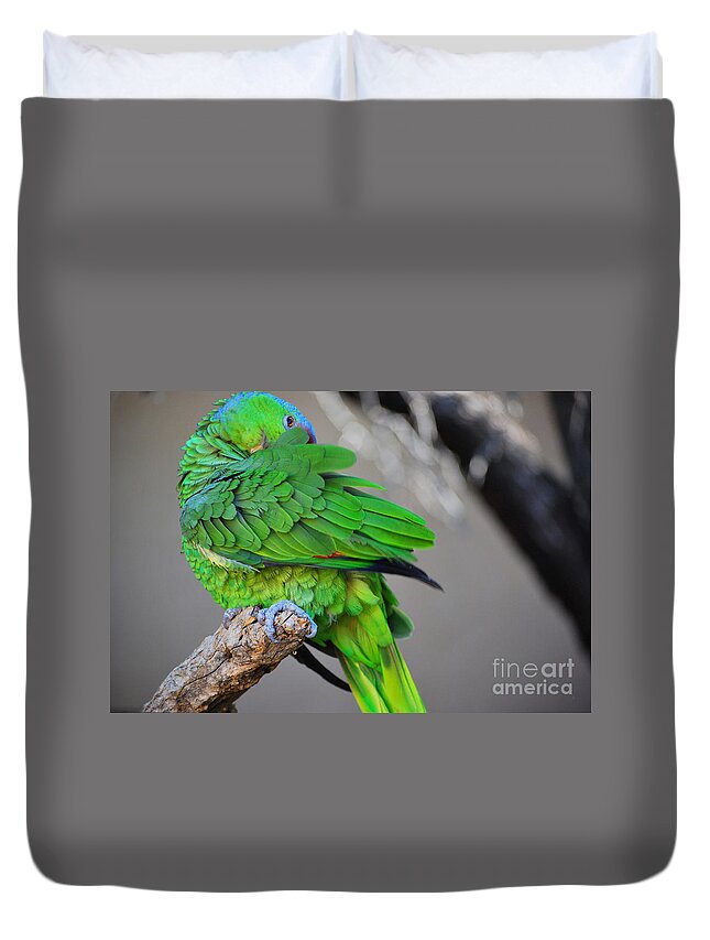 Bird Duvet Cover featuring the photograph The Parrot by Donna Greene