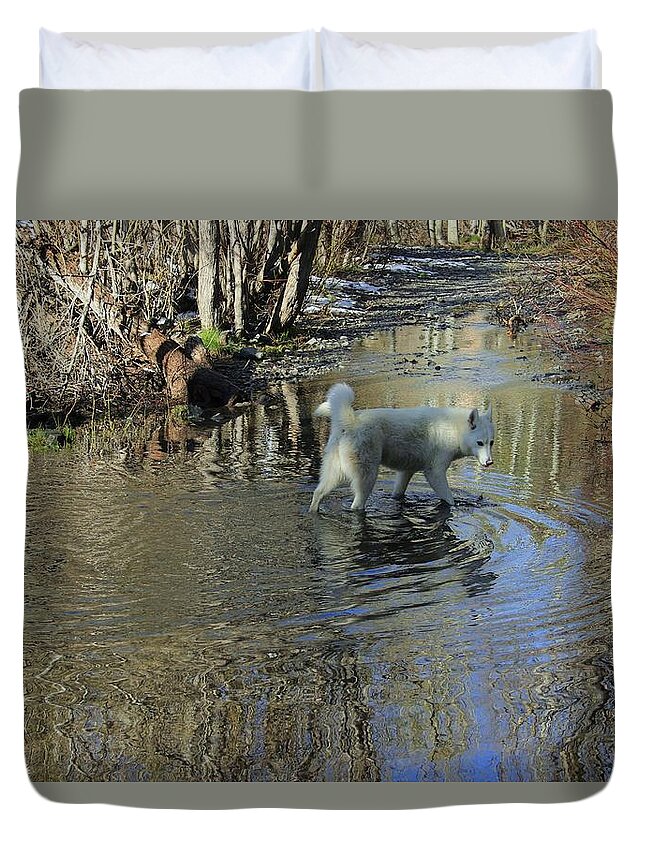Path Duvet Cover featuring the photograph The Path Of Life by Sean Sarsfield