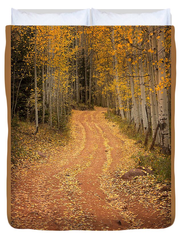 Fall Duvet Cover featuring the photograph The Pathway to Fall by Ronda Kimbrow