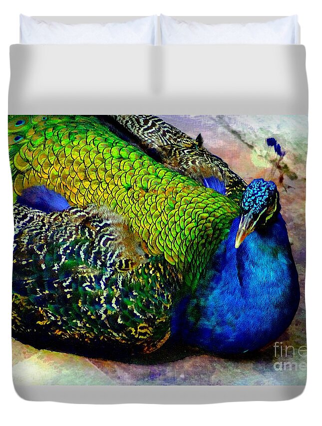 John+kolenberg Duvet Cover featuring the photograph The Peacock At Rest by John Kolenberg