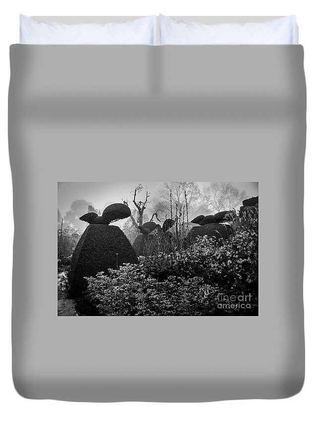 Plants Duvet Cover featuring the photograph The Peacock Garden, Great Dixter by Perry Rodriguez