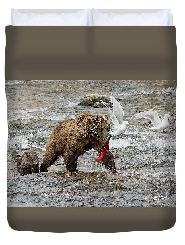 Alaska Duvet Cover featuring the photograph The Plight of the Sockeye by Cheryl Strahl