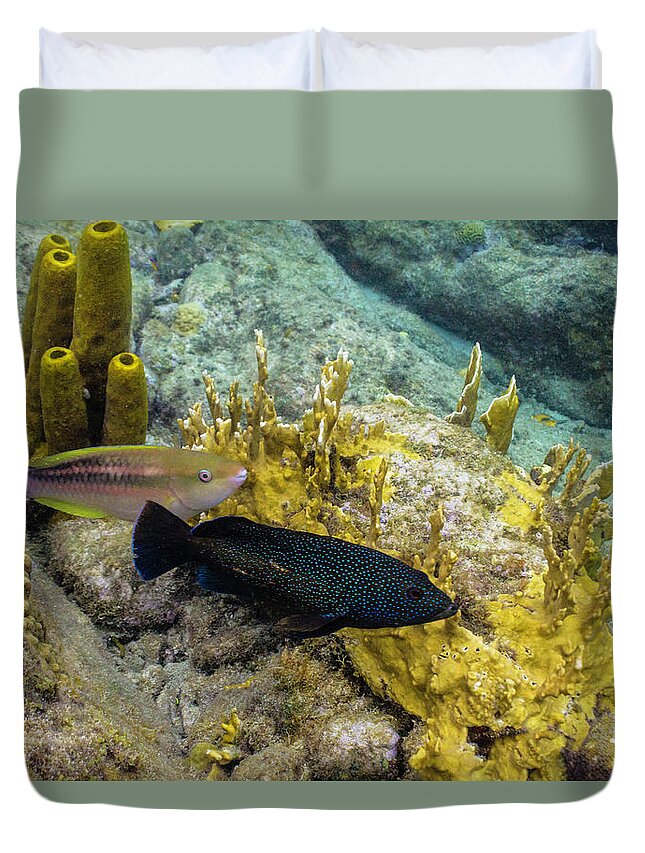 Ocean Duvet Cover featuring the photograph The Princess and the Grouper by Lynne Browne
