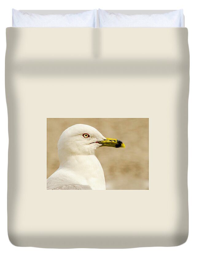Great Lakes Gull Duvet Cover featuring the photograph The Proud Gull by John Roach