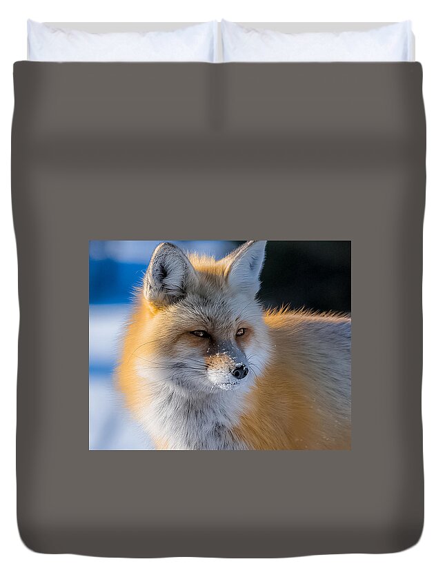 Red Fox Duvet Cover featuring the photograph The Red Fox Portrait In Snow by Yeates Photography