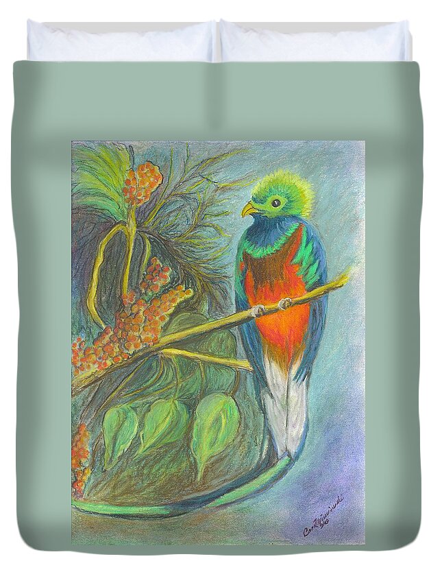 Bird Duvet Cover featuring the drawing The Resplendent Quetzal Bird by Carol Wisniewski