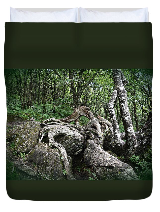 Root Duvet Cover featuring the photograph The Root by Gary Smith
