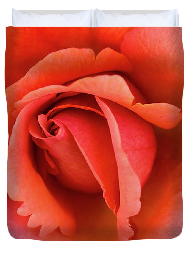 Flowers Duvet Cover featuring the photograph The Rose by Steven Clark