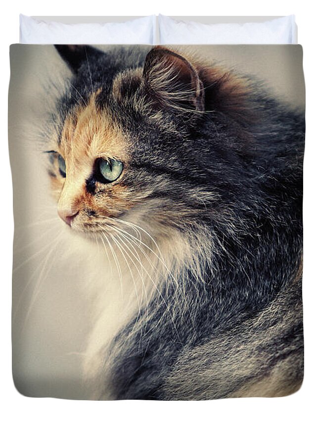 Cat Duvet Cover featuring the photograph The Sad Street Cat by Dimitar Hristov