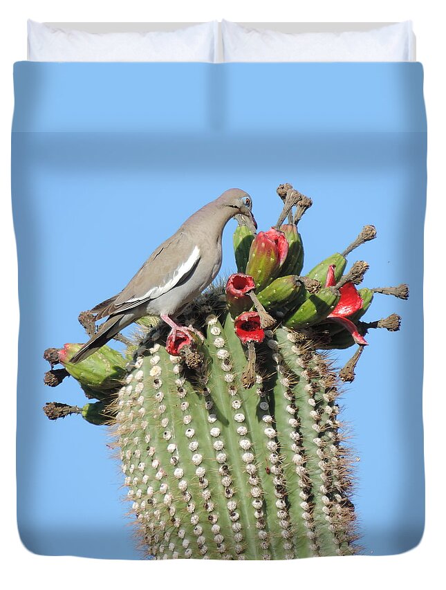  He Saguaro Cafe Is Open Duvet Cover featuring the photograph The Saguaro Cafe is Open by Bill Tomsa