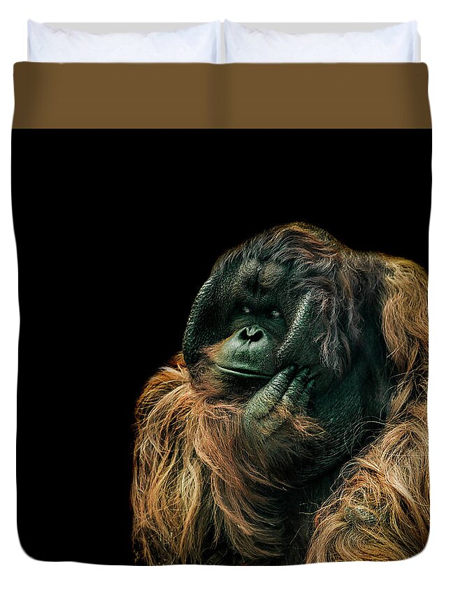 Orangutan Duvet Cover featuring the photograph The Sceptic by Paul Neville