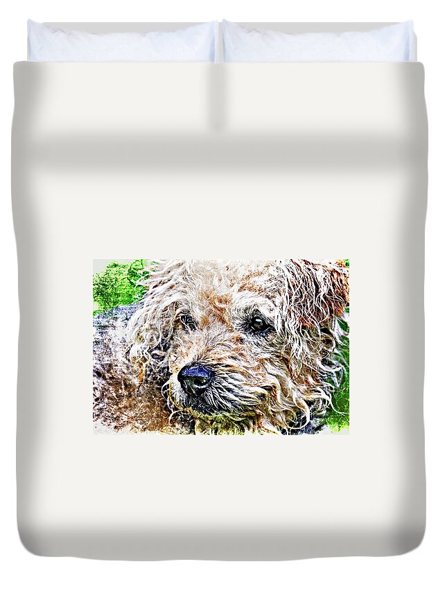 Dog Duvet Cover featuring the photograph The Scruffiest Dog In The World by Meirion Matthias