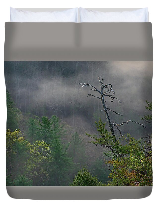 Mill Creek Lake Duvet Cover featuring the photograph The snag by Ulrich Burkhalter