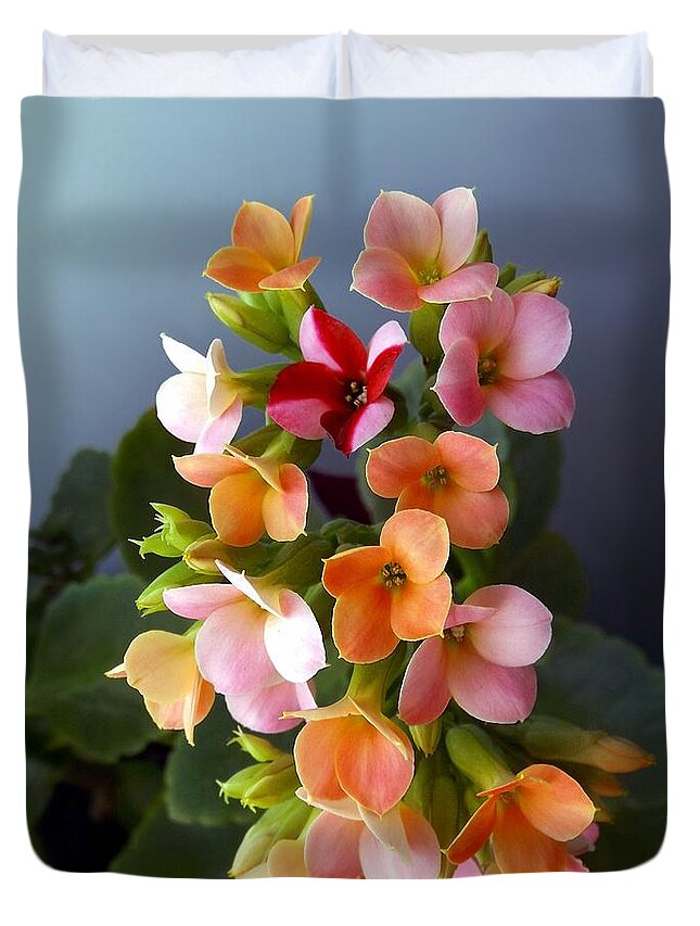 Kalanchoe Duvet Cover featuring the photograph The Special One by Danielle R T Haney