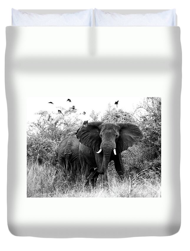 Elephant Duvet Cover featuring the photograph The Standoff by Bruce J Robinson