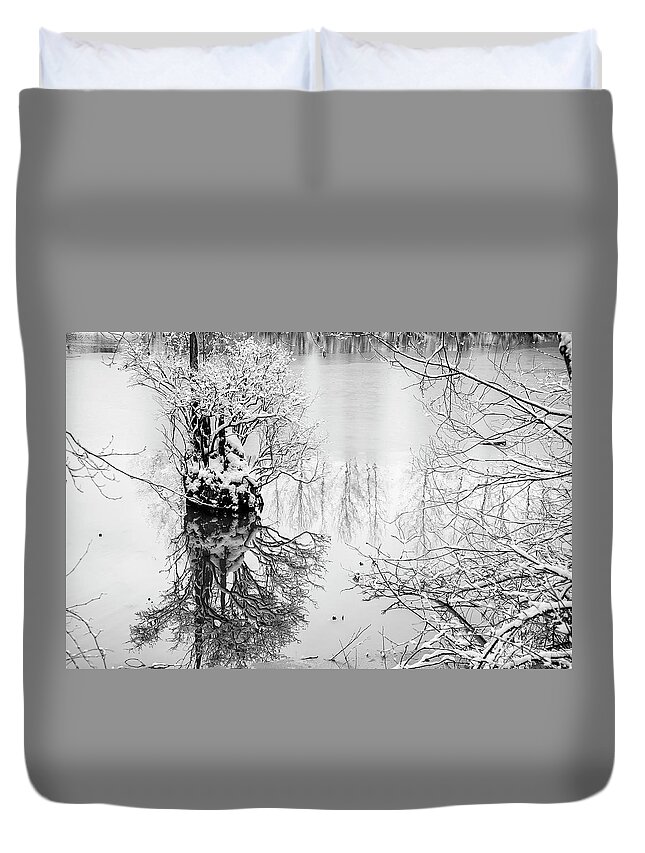 Stump Duvet Cover featuring the photograph The Stump Too by Monte Arnold