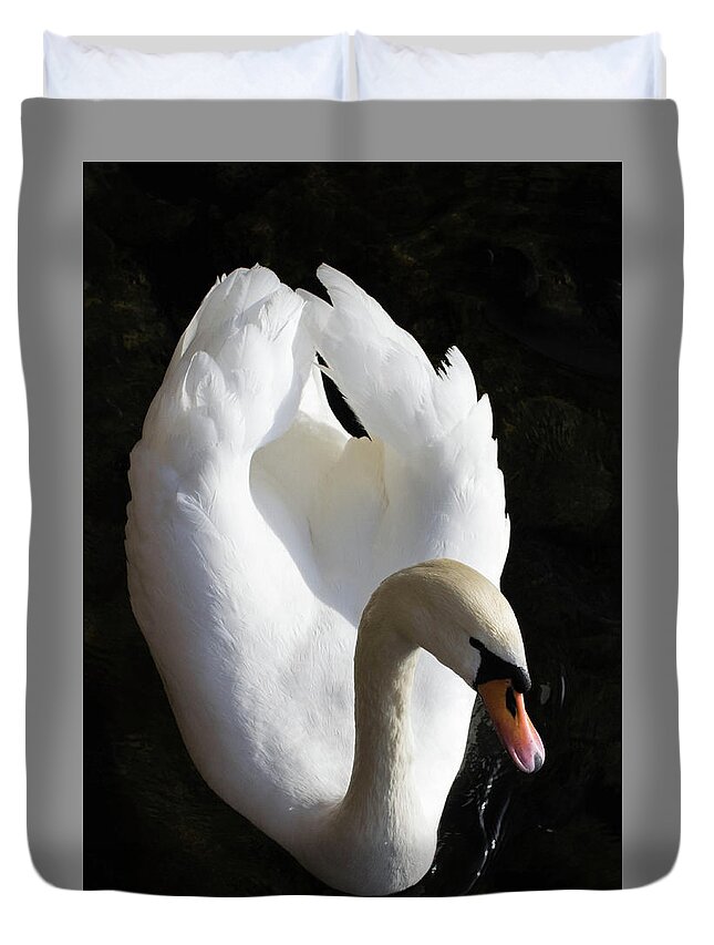 Bird Duvet Cover featuring the photograph The Swan by Jody Partin