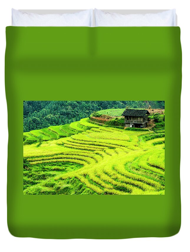 Rice Duvet Cover featuring the photograph The terraced fields scenery in autumn by Carl Ning