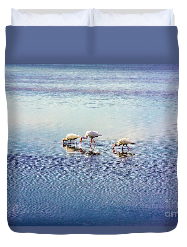 The Three Birds Duvet Cover featuring the photograph The Three Birds by Felix Lai
