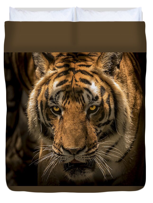 Tiger Duvet Cover featuring the photograph The Savage Found Me by Francisco Gomez