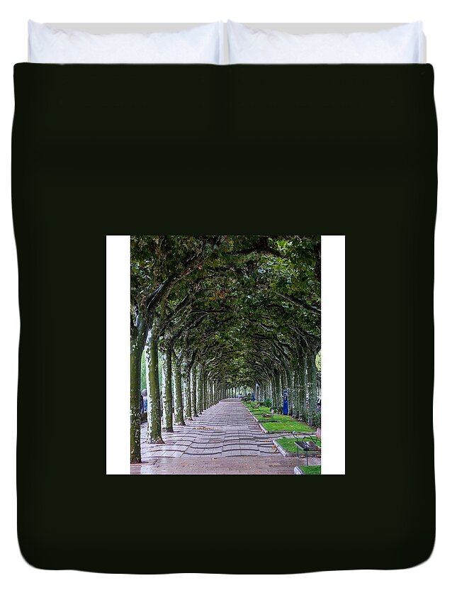 Beautiful Duvet Cover featuring the photograph The Trees. Burgos, Spain.

#europe by Marcelo Valente