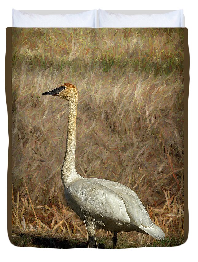 Trumpeter Swan Duvet Cover featuring the photograph The Trumpeter Swan by Belinda Greb