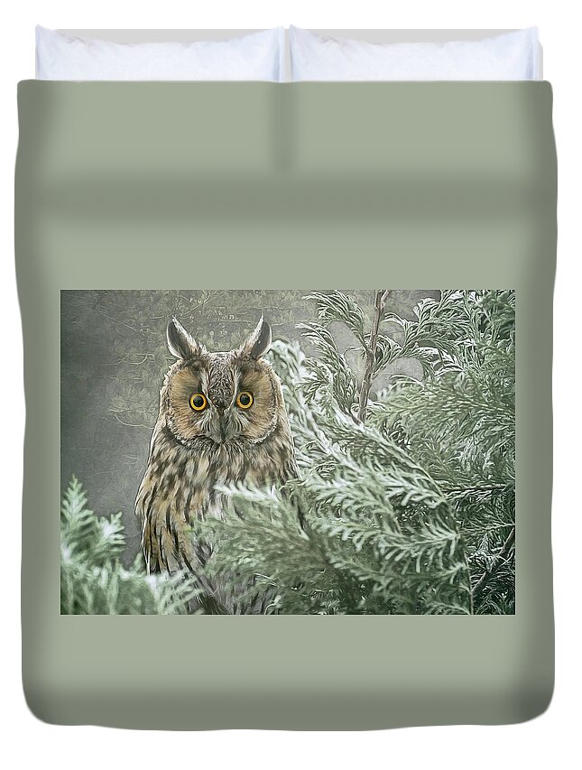 Long Eared Owl Duvet Cover featuring the photograph The watcher in the mist by Brian Tarr