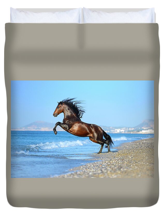 Russian Artists New Wave Duvet Cover featuring the photograph The Wave. Andalusian Horse by Ekaterina Druz
