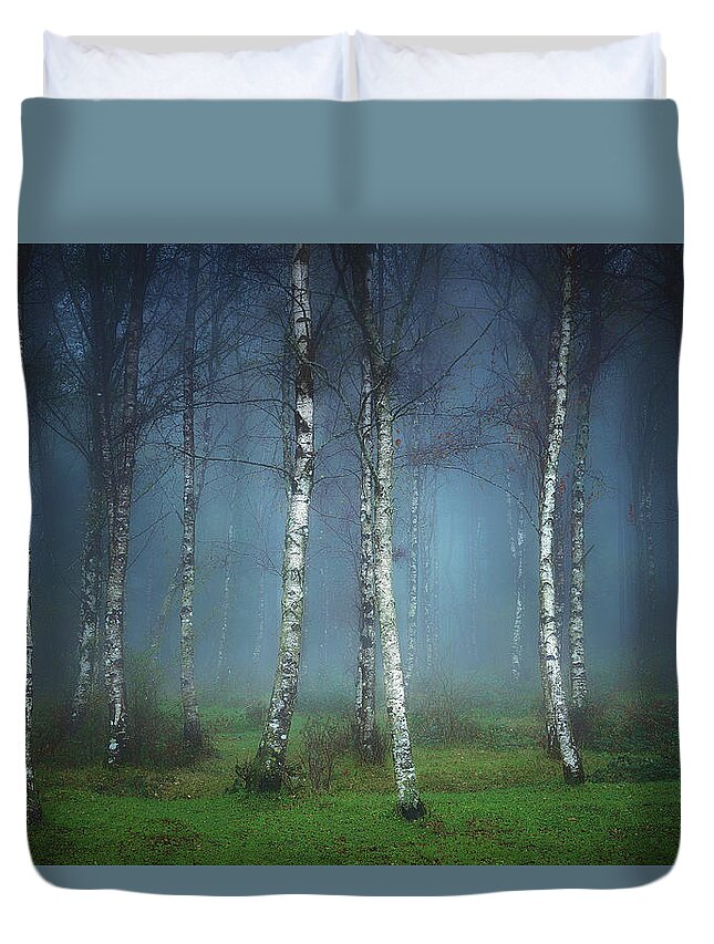 Forest Duvet Cover featuring the photograph The White Stripes by Mikel Martinez de Osaba