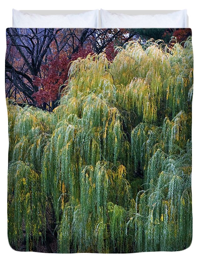 New York City Duvet Cover featuring the photograph The Willows of Central Park by Lorraine Devon Wilke