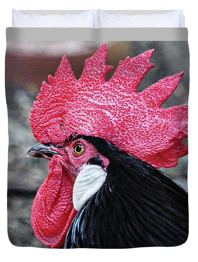 Florence Italy Duvet Cover featuring the photograph The Year of the Rooster by Rebecca Dru