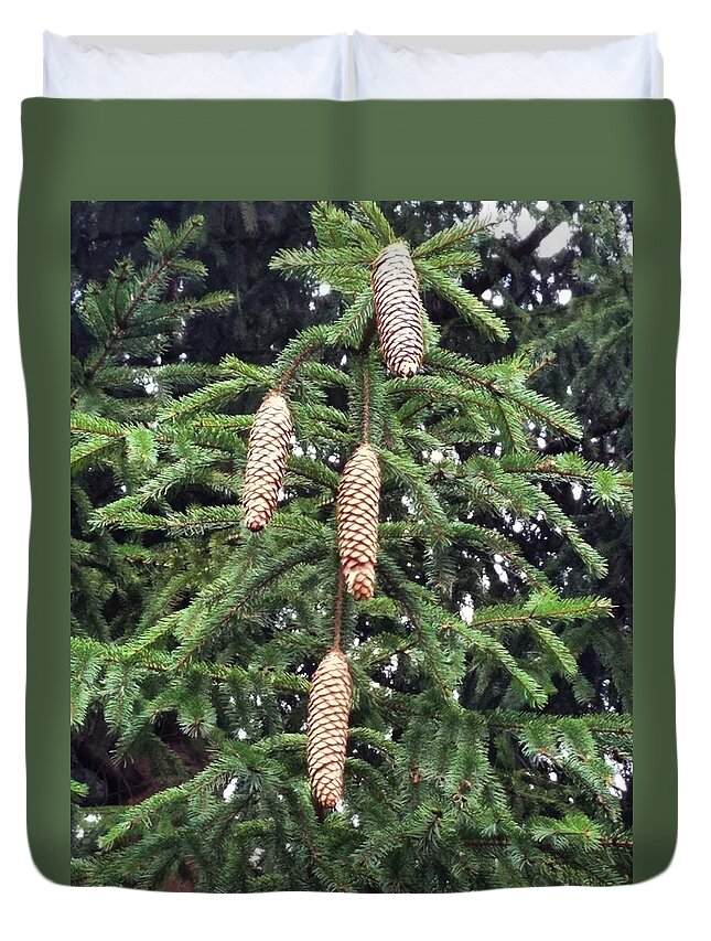 Pinecone Duvet Cover featuring the photograph Then There Were Four by Vic Ritchey