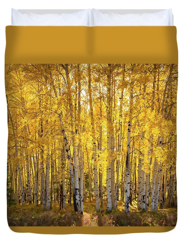 Aspen Grove Duvet Cover featuring the photograph There's Gold In Them Woods by Saija Lehtonen