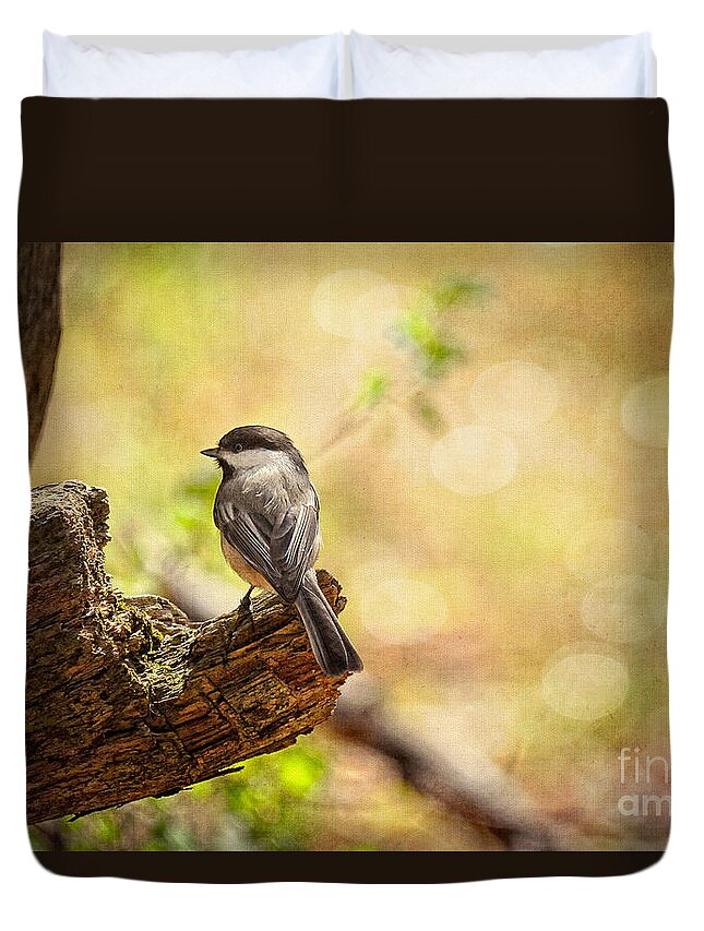 Bird Duvet Cover featuring the photograph Thinking of Spring by Lois Bryan