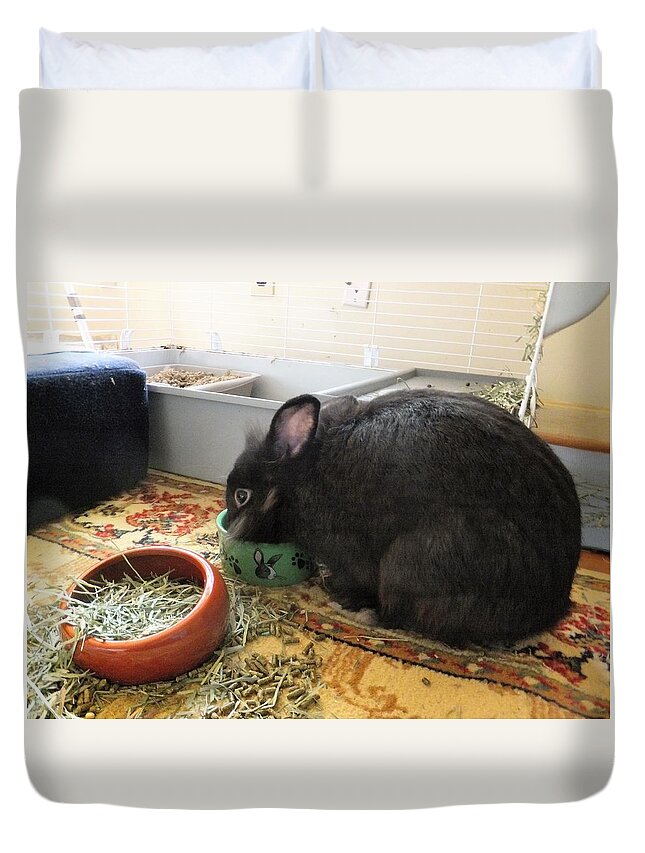 Rabbit Duvet Cover featuring the photograph This Is Good Water by Denise F Fulmer