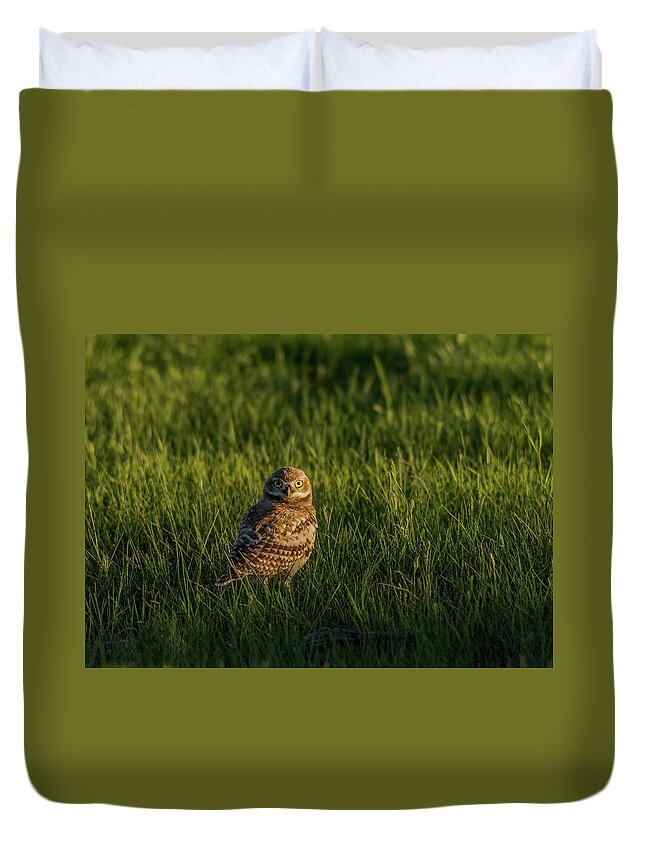 Sunset Duvet Cover featuring the photograph Those Big Eyes At Sunset by Yeates Photography