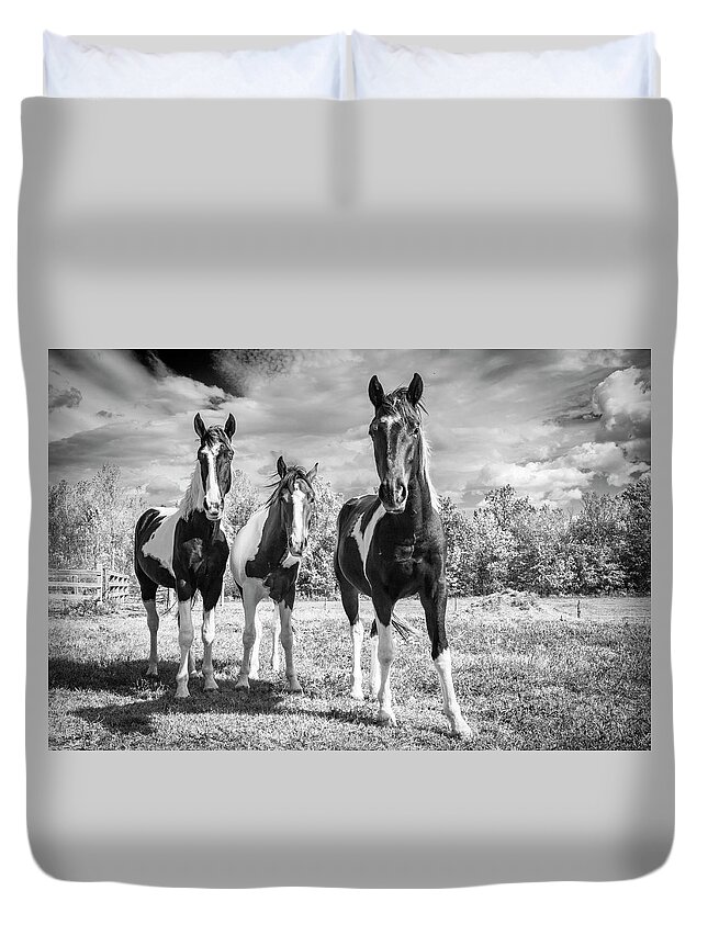 Horses Duvet Cover featuring the photograph Three Amigos by Holly Ross
