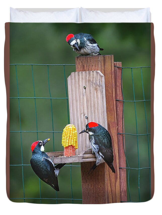 Mark Miller Photos Duvet Cover featuring the photograph Three Backyard Woodpeckers by Mark Miller
