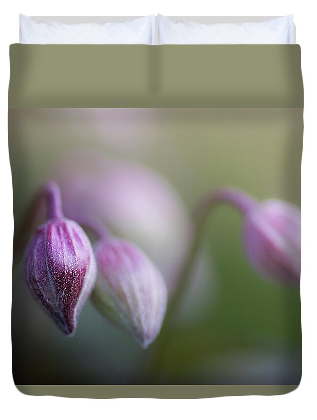Spring Duvet Cover featuring the photograph Three Buds by Peter Scott