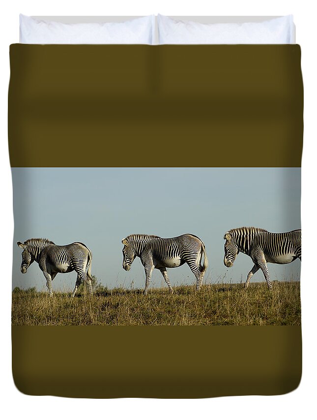 Zebra Duvet Cover featuring the photograph Three on the Horizon by David Yocum