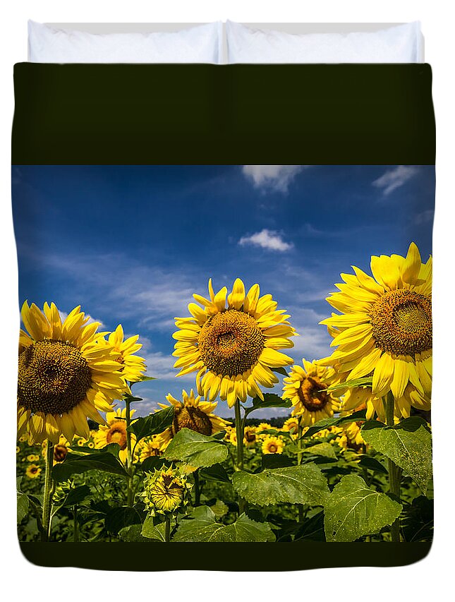 Blue Sky Duvet Cover featuring the photograph Three Suns by Ron Pate