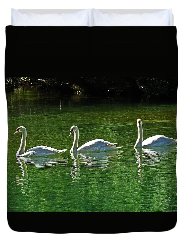 Swans Duvet Cover featuring the photograph Three Swans Aswimming by Judy Wanamaker